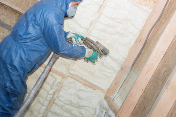 Best Pipe and Duct Insulation  in Pelzer, SC