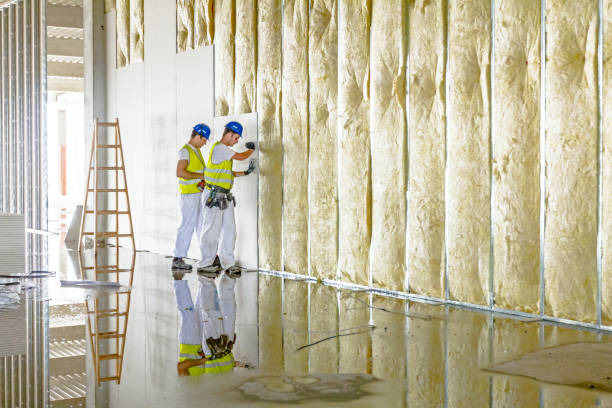 Best Attic Insulation Installation  in Pelzer, SC